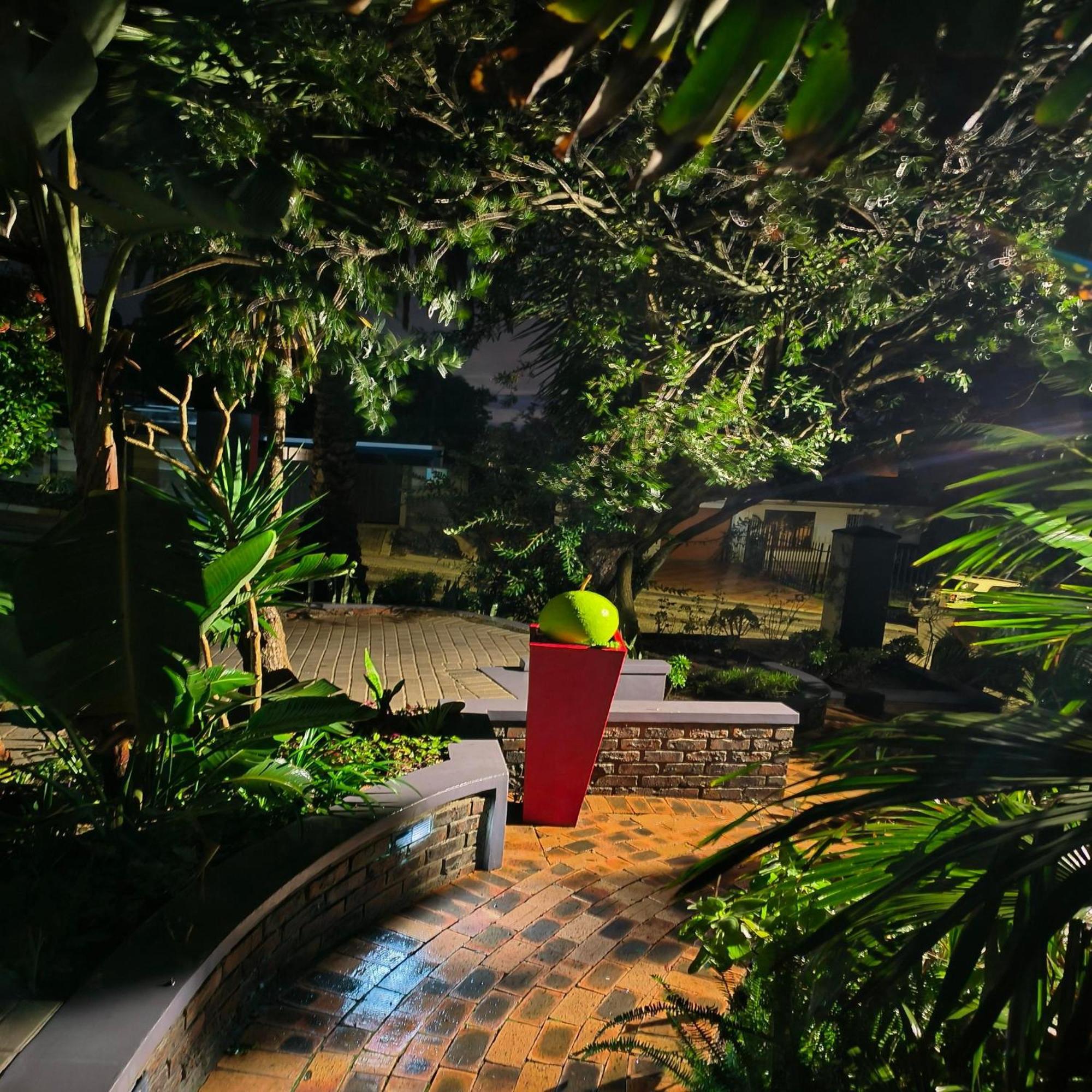 Hidden Gem Ruwari *